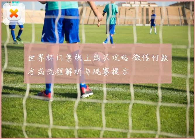 世界杯门票线上购买攻略 微信付款方式流程解析与观赛提示
