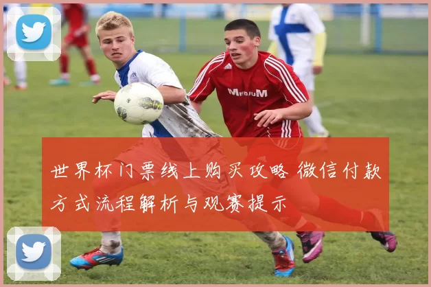 世界杯门票线上购买攻略 微信付款方式流程解析与观赛提示