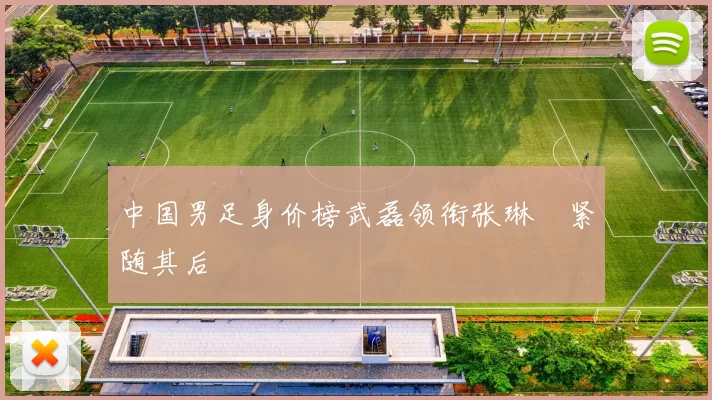 中国男足身价榜武磊领衔张琳芃紧随其后