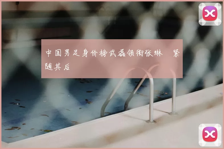 中国男足身价榜武磊领衔张琳芃紧随其后