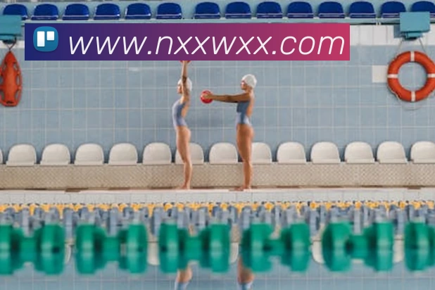 星空网官方站入口 - 星空online(中国)服务体系